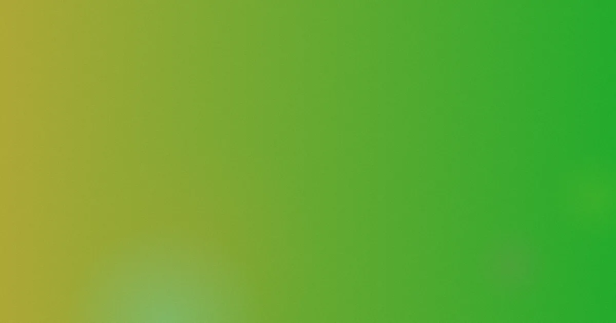 非洲大蜗牛测评：避坑指南